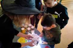 IMG-20241129-WA0013