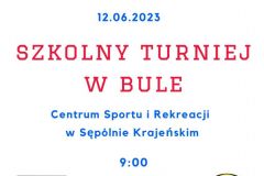 Red White and Blue Hockey Poster - 1