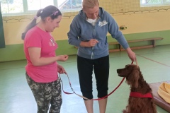 IMG_20230601_124212