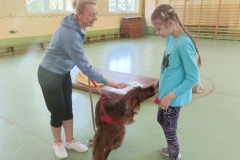 IMG_20230601_130902