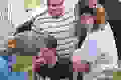 448228122_956956946224103_7244387223649279903_n