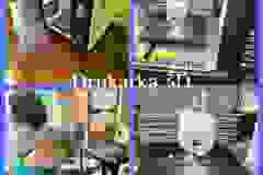 441507151_944399850813146_4239341290719102991_n