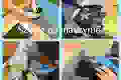 441509413_944399894146475_9210236135096229347_n
