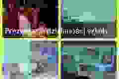 444444805_944399800813151_7682651860264324280_n