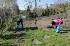 IMG_20220426_082923