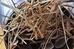 IMG-20240422-WA0018