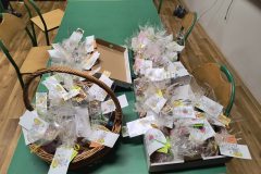 658840286_919211187614456_4454740908703414559_n