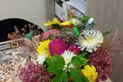 IMG-20220929-WA0000-Kopia