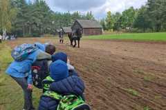 IMG-20251009-WA0002
