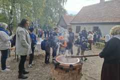 IMG-20251009-WA0016