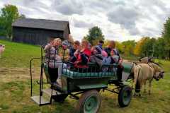 IMG-20221006-WA0006