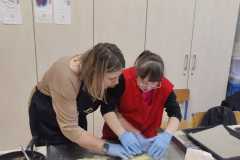 IMG-20241210-WA0019