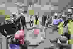 1730655863425