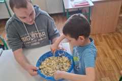 IMG-20250416-WA0005