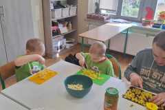 IMG-20250416-WA0007