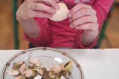 IMG-20250416-WA0020