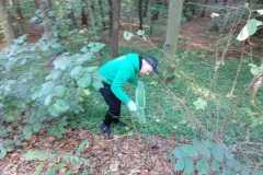 IMG-20250926-WA0006